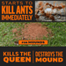 Amdro 1 lb Lot of 2x Outdoor Fire Ant Killer Granule Bait 2,000 sq. ft. Mounds Lawns - resaled - Amdro - 813576004163