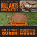 Amdro 1 lb Lot of 2x Outdoor Fire Ant Killer Granule Bait 2,000 sq. ft. Mounds Lawns - resaled - Amdro - 813576004163