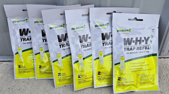 Rescue Why Case of 6 Trap Refill Packs wasps, hornets, yellow jackets W-H-Y - resaled - Rescue - 042853811006