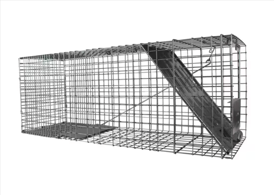 Victor Havahart Large 1 - Door Professional Live Animal Cage Trap 1079 Raccoon Opossum Groundhog Feral Cat - resaled - Havahart - 036348010791